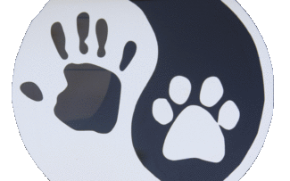 PM: Curso de Direito dos animais