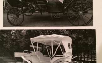 Comissão da OAB/RJ começa luta pelo fim da tração animal em Petrópolis