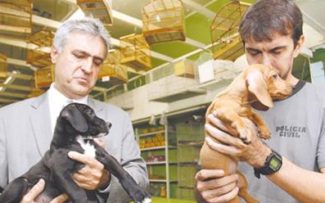 Vida não se vende