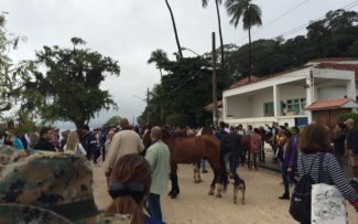 Charretes e exploração animal perto do fim em Paquetá