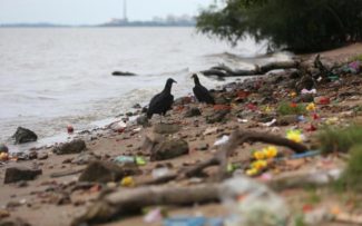 Dia mundial da água