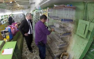 OAB, DPMA e Procon fecham casa de pássaros irregular no Centro do Rio