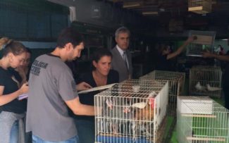 Ação em parceria do Procon Estadual leva dono de pet shop a delegacia para prestar depoimento