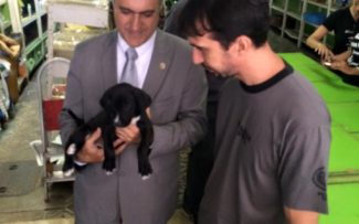 Vistoria do Procon, OAB E DPMA fecha pet shops no Centro do Rio