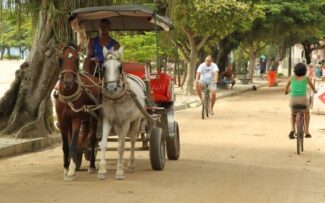 Paquetá: prefeitura e OAB divergem sobre substituição das charretes