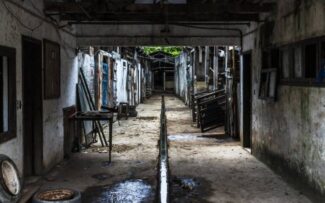 Paquetá:saem as charretes e entram os carrinhos elétricos