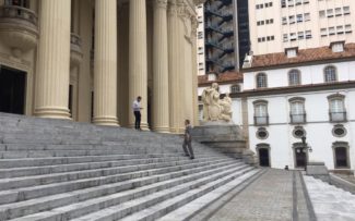 Animais: não aos testes