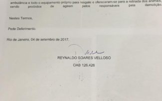 Gatos da S.F.Xavier: Ação ganha e vidas salvas