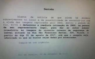 Vitória na Ação pelos gatos da São Francisco Xavier