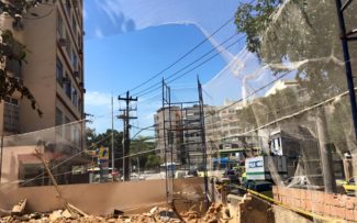 Ativistas fazem força-tarefa para recolher gatos em imóvel demolido