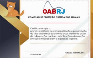 Evento com lançamento de livros