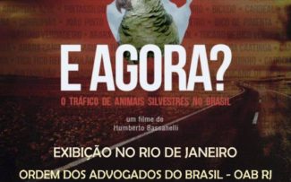 Empresas e órgãos públicos discutirão combate ao tráfico de animais