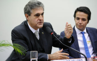 Punição mais dura de maus tratos a animais é defendida em audiência