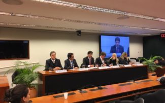 Comissão quer prisão para crime de maus tratos a animais