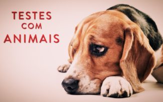 OAB:COMISSÃO DOS ANIMAIS QUER ACABAR COM TESTES