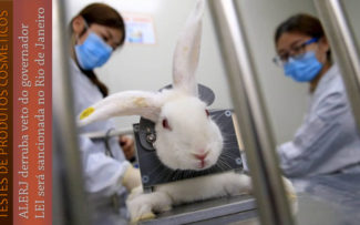 Comissão da OAB quer derrubada de veto ao PL que proíbe usar animais