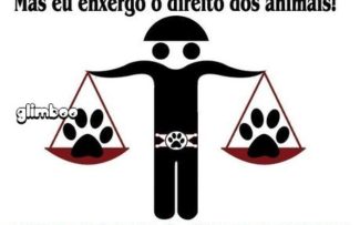 Juíza defende projeto de lei que proíbe testes em animais para produtos de beleza e limpeza