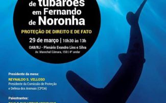 Tubarões de Fernando de Noronha