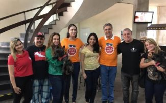 Comissão dos Animais da OAB/RJ lança Programa de Apoio aos Abrigos e Protetores