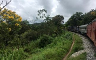 Viagem na história e na preservação