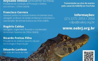 Comissão da OAB propõe criação de santuário para jacarés no Rio