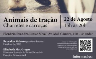 Cavalos escravos da dor