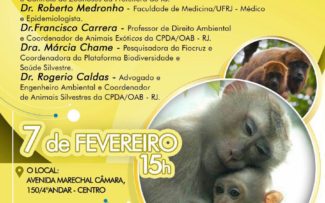 Macaco e febre amarela