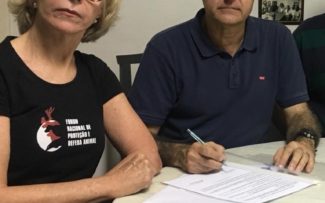 OAB se une a ONG contra exploração de cavalos em charretes em Petrópolis (RJ)