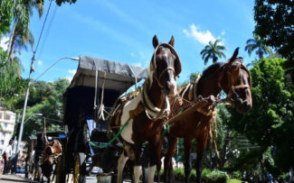 Plebiscito determina o fim das charretes com tração animal em Petropólis/RJ.