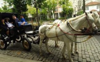 Fim das charretes: um sonho de Petrópolis