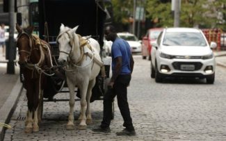 Prefeitura de Petrópolis sem recursos para substituir cavalos por carros elétricos