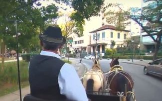 Petrópolis decide pelo fim de charretes puxadas a cavalo