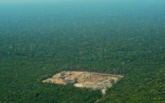 Meio Ambiente X Agronegócio