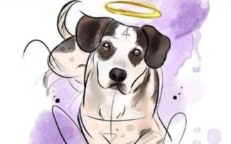 Promotoria abre inquérito para investigar morte de cachorro por segurança do Carrefour