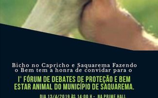 Animais de Saquarema