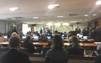 Conselho Federal da OAB cria Comissão Especial de Proteção e Defesa dos Animais