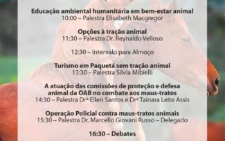 Paraty sem Charretes