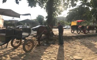 Charretes de Paraty em debate