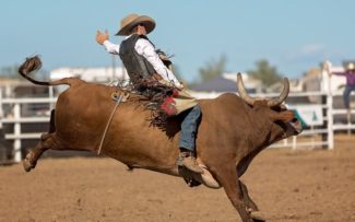 OAB usará todos os meios jurídicos para evitar o Rodeio.