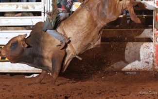 Comissão da OAB/RJ quer barrar o Rodeio de Araruama.
