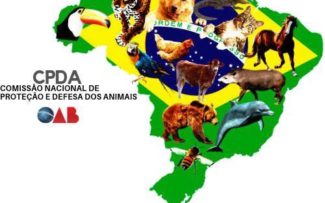 Projeto de Lei “Animal não é coisa” será pauta da OAB