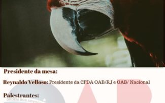 Animal não é coisa