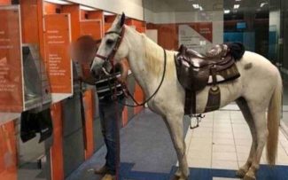 CAVALO NO SAQUE DO BANCO
