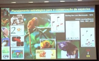 40 Anos do Centro de Primatologia do RJ