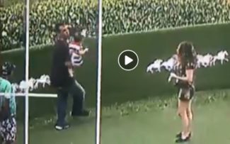 Maus tratos a gato no Jockey Club da Gávea é investigado