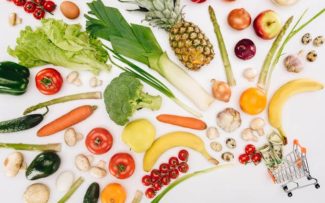 Comissão da OAB quer ampliar debate sobre alimentação sem uso de animais