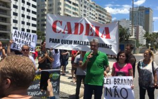 Manifestação contra maus-tratos – Copacabana/RJ