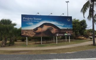 Projeto Tamar – Aracaju