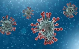 Estudo descarta hipótese de que novo coronavírus tenha sido criado em laboratório