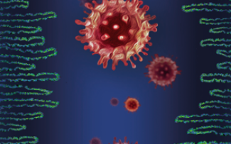 Eficácia das máscaras faciais na Covid-19